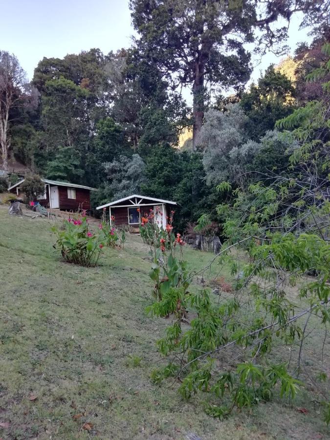 Miriam'S Quetzals Lodge San Gerardo de Dota Εξωτερικό φωτογραφία