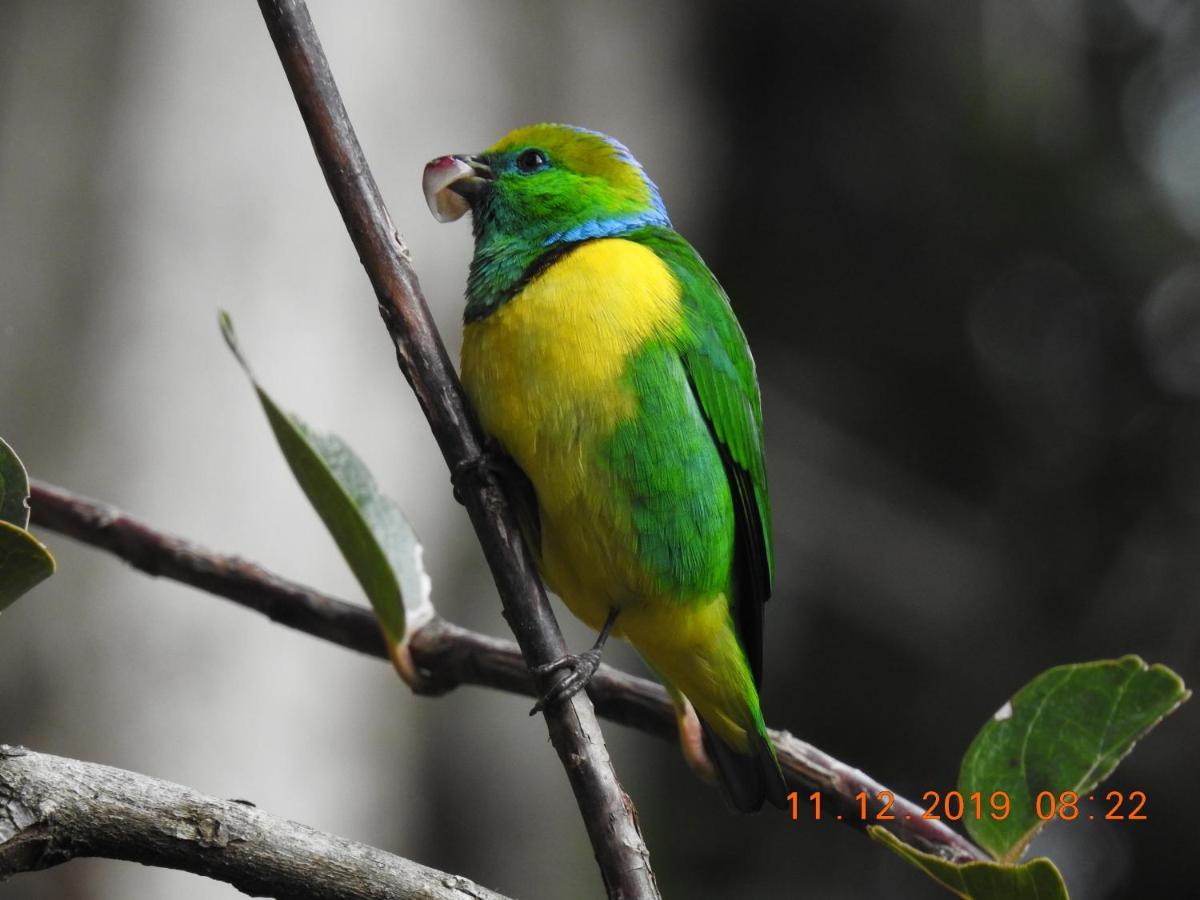 Miriam'S Quetzals Lodge San Gerardo de Dota Εξωτερικό φωτογραφία