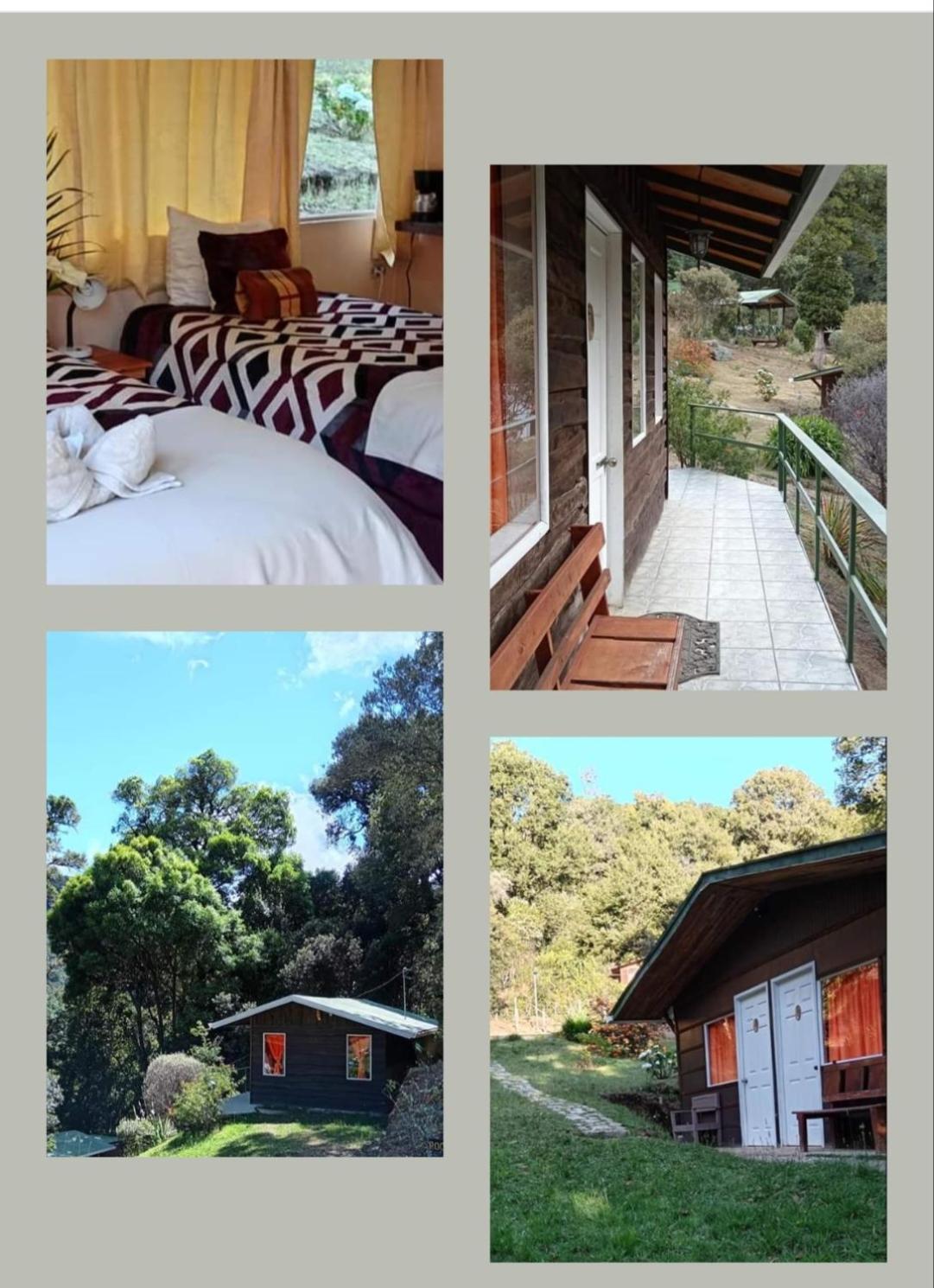 Miriam'S Quetzals Lodge San Gerardo de Dota Εξωτερικό φωτογραφία