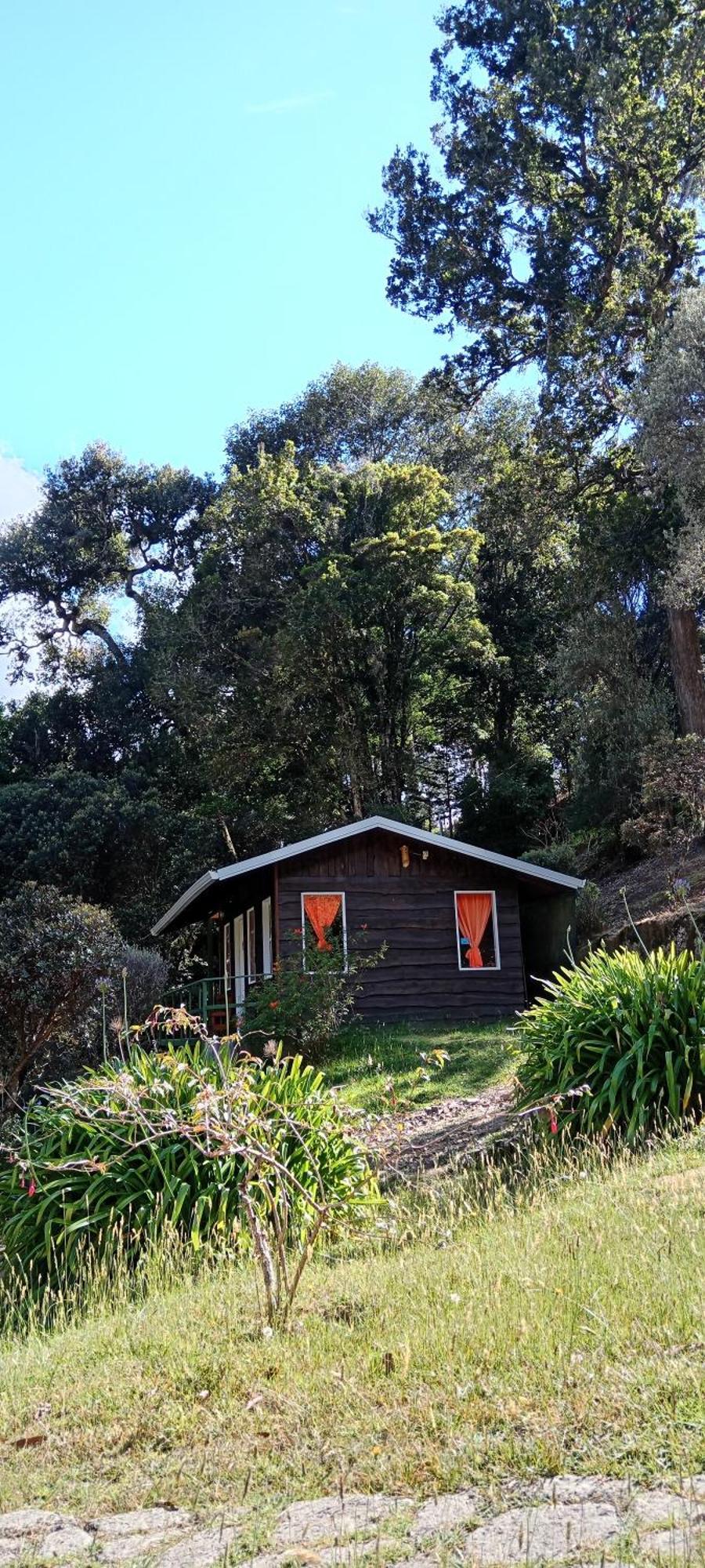 Miriam'S Quetzals Lodge San Gerardo de Dota Εξωτερικό φωτογραφία