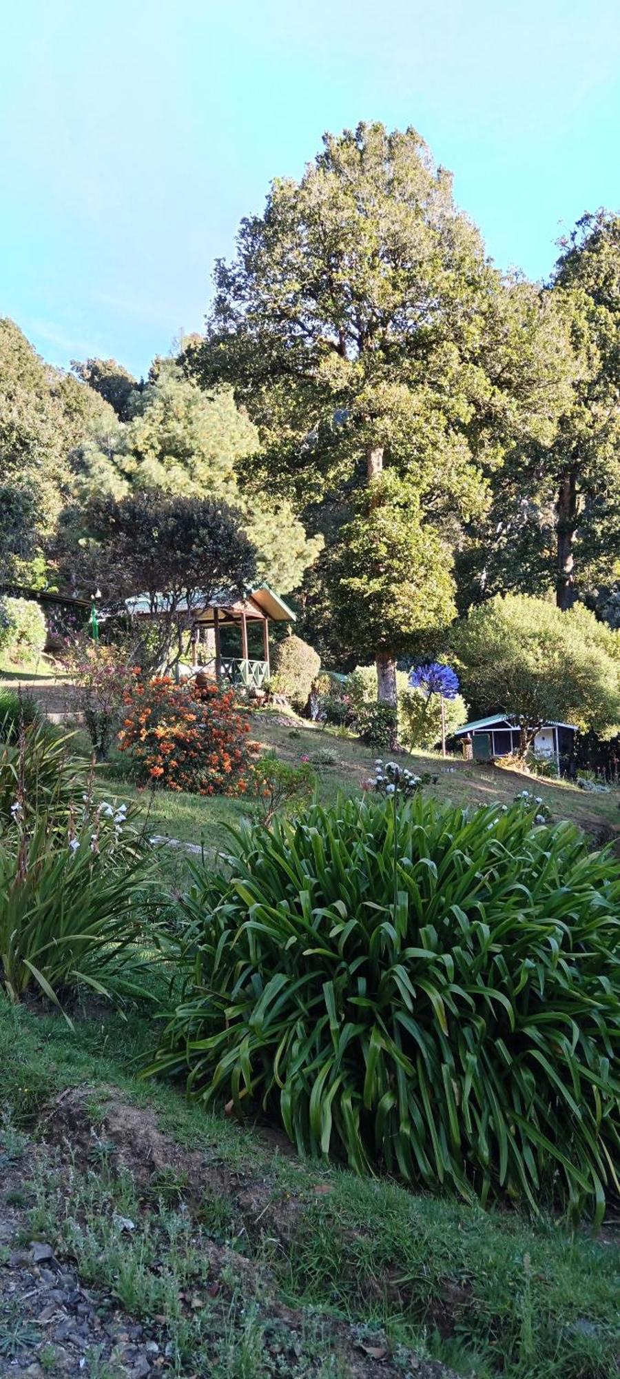 Miriam'S Quetzals Lodge San Gerardo de Dota Εξωτερικό φωτογραφία