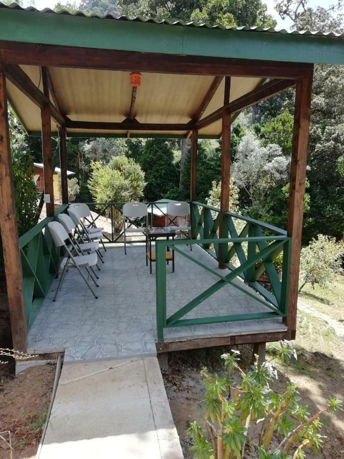 Miriam'S Quetzals Lodge San Gerardo de Dota Εξωτερικό φωτογραφία